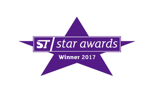 2017年 Star Awards: WINNER（大賞受賞）