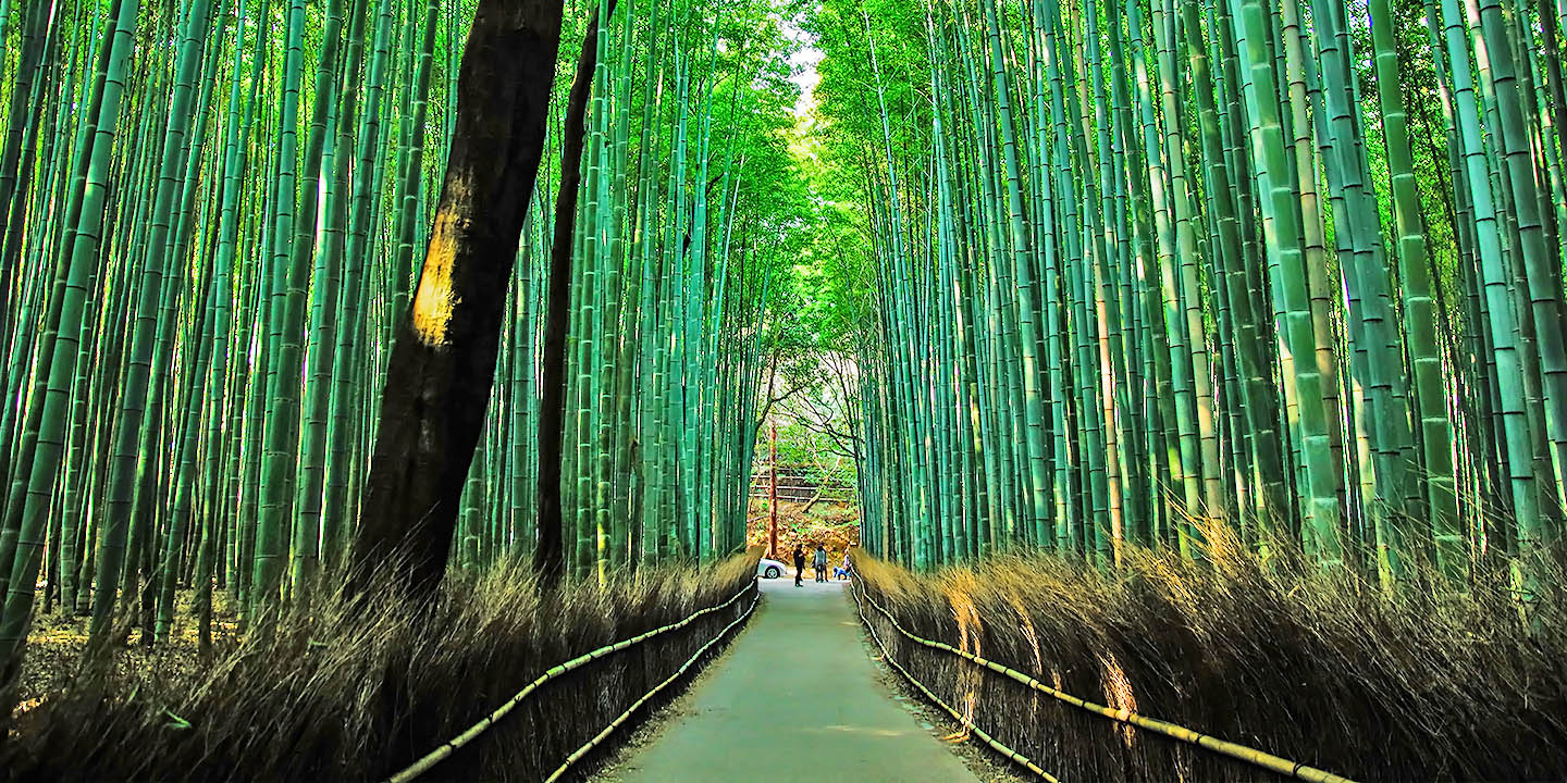 Instalaciones de la Escuela