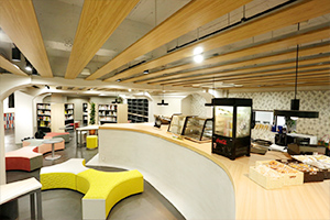 Nuevas instalaciones